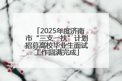 2025年度济南市“三支一扶”计划招募高校毕业生面试工作圆满完成